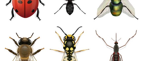 bugs-and-CVE.jpg