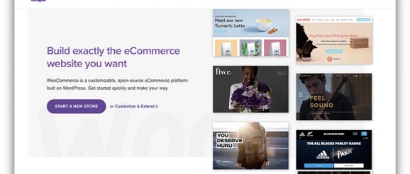 woocommerce.jpg